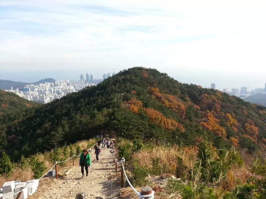 2014년2학기 야외수업-장산 psb (7).jpg
