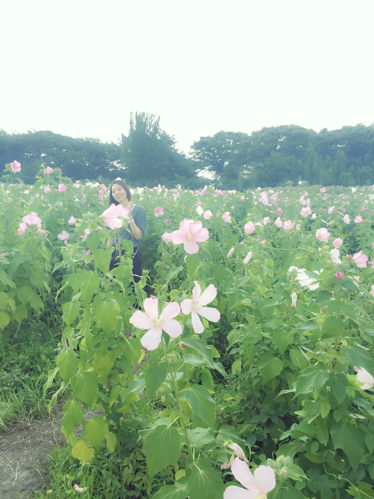2015년 연구실 MT-경주 IMG_0805.JPG